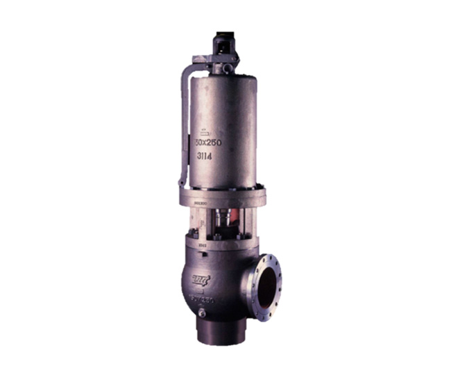 Fukui Safety and Releif Valve | Future Technology Supply